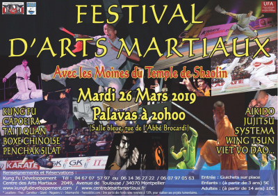 Festival d'arts martiaux