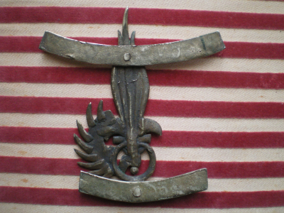 Insigne de Para Légion étrangère.