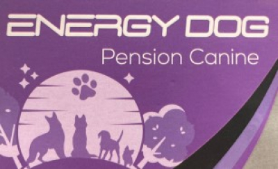 Pension canine